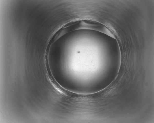 X0000071350389200607071729