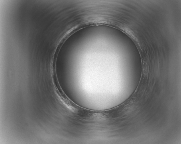 X0000071350390200607071729