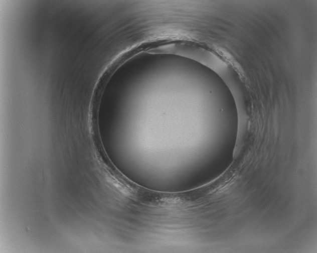 X0000071350391200607071729