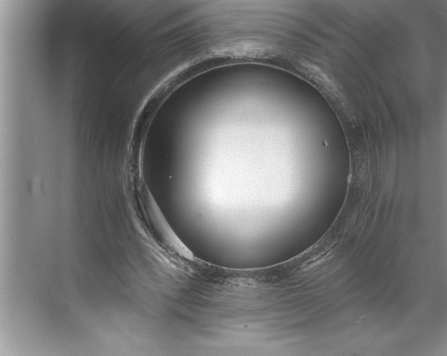 X0000071350392200607071729