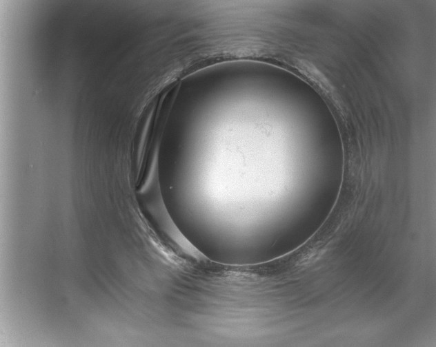 X0000071350393200607071729