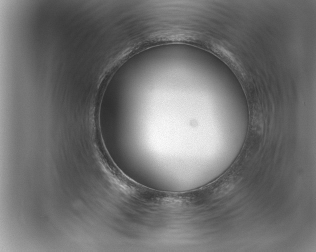 X0000071350394200607071729