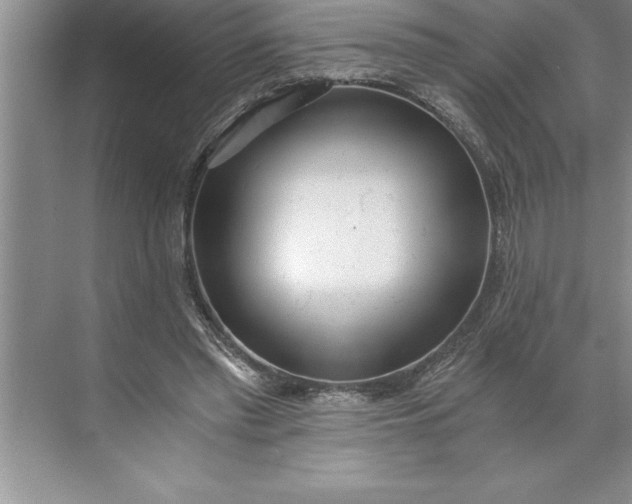 X0000071350397200607071729