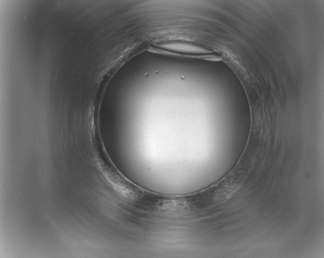 X0000071350398200607071729