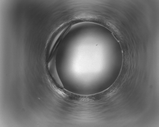 X0000071350399200607071729