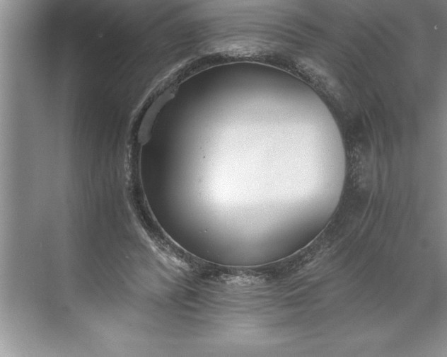 X0000071350400200607071729