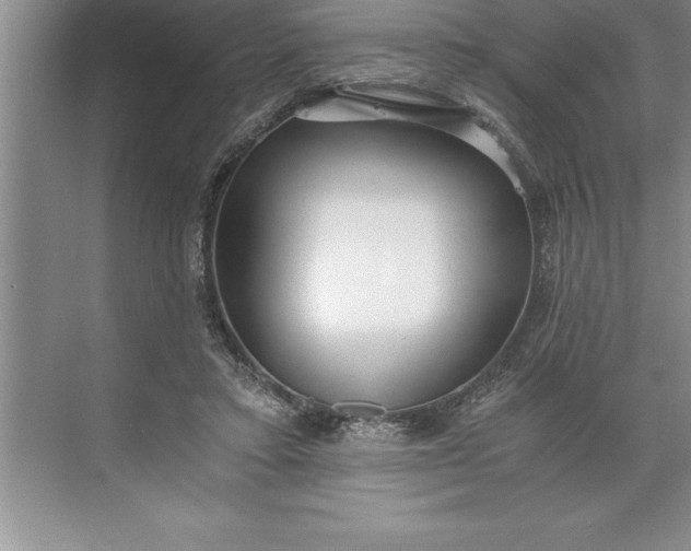 X0000071350403200607071729