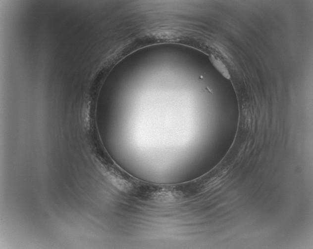 X0000071350404200607071729