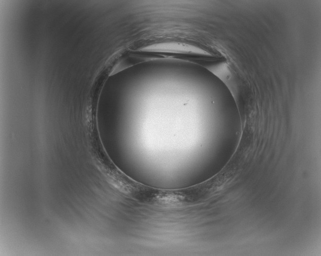 X0000071350407200607071729