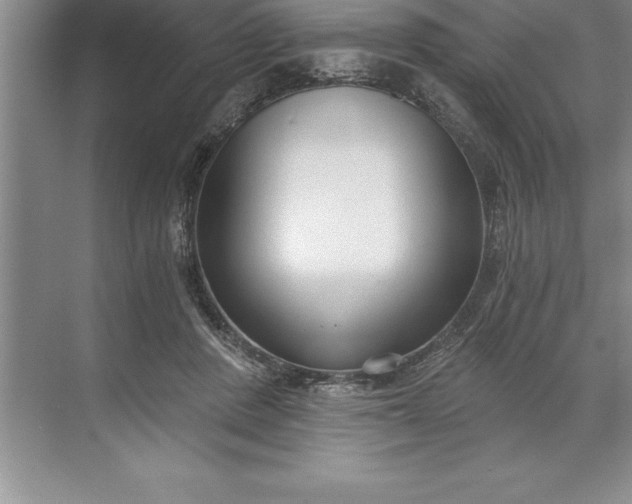 X0000071350408200607071729