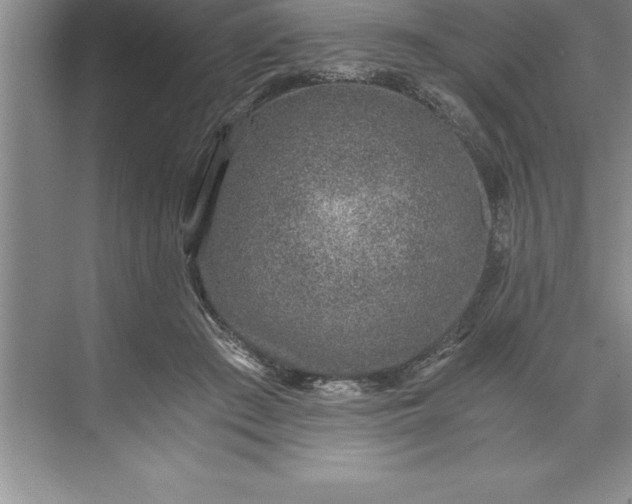 X0000071350409200607071729