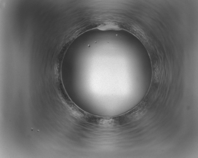 X0000071350410200607071729