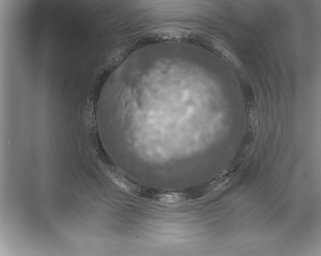 X0000071350411200607071729