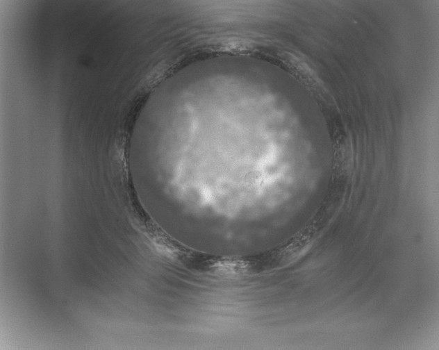 X0000071350415200607071729