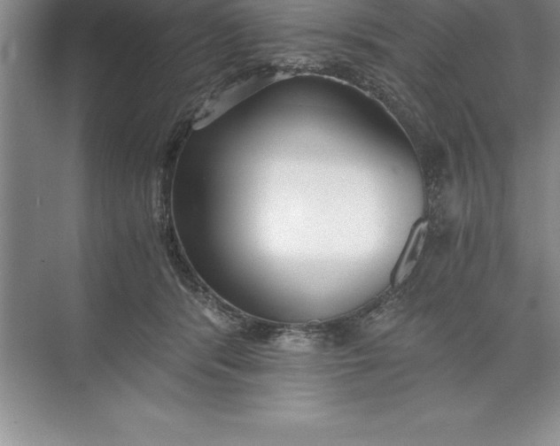 X0000071350416200607071729