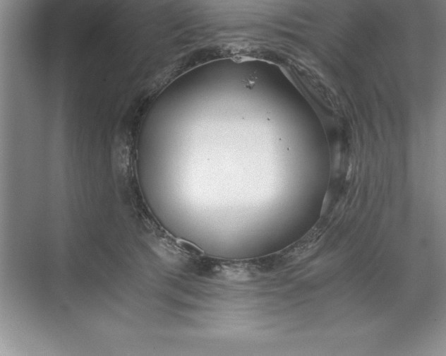 X0000071350417200607071729