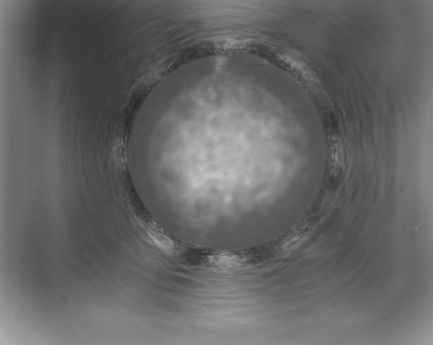 X0000071350419200607071729