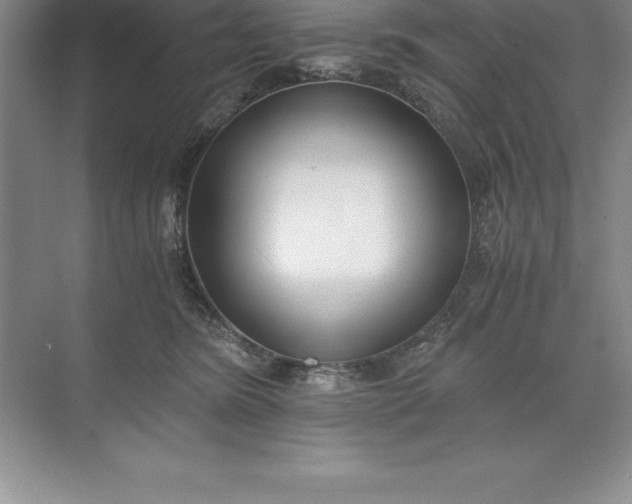 X0000071350420200607071729