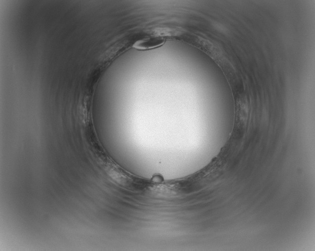 X0000071350422200607071729