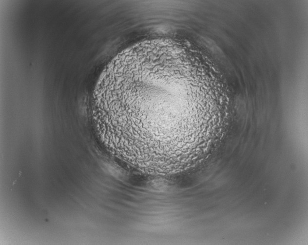 X0000071350423200607071729