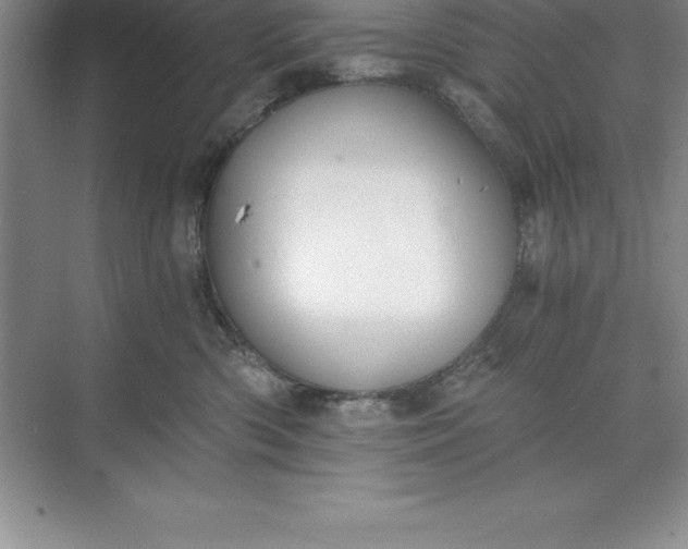 X0000071350426200607071729