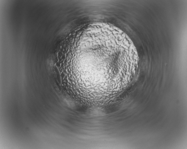 X0000071350427200607071729