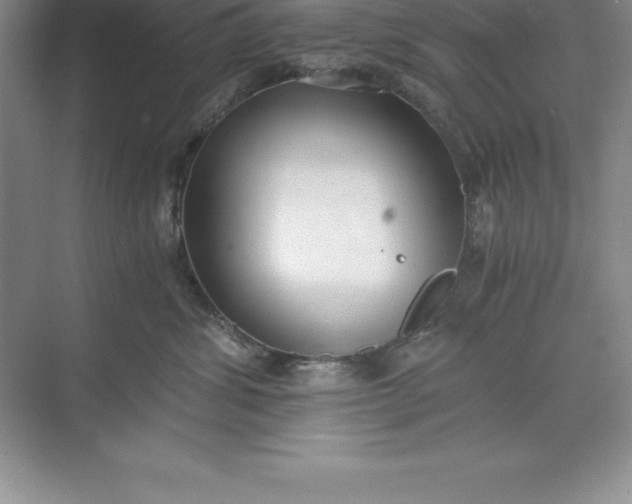 X0000071350428200607071729