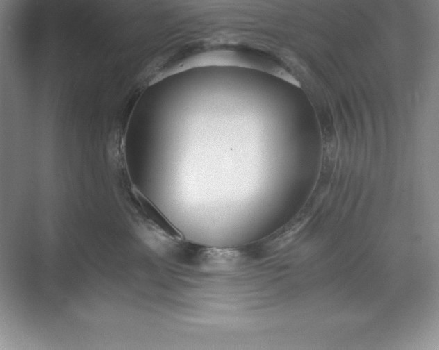 X0000071350429200607071729