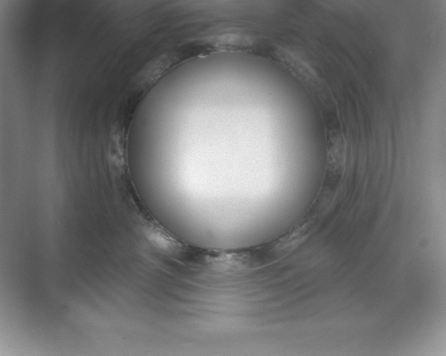 X0000071350430200607071729