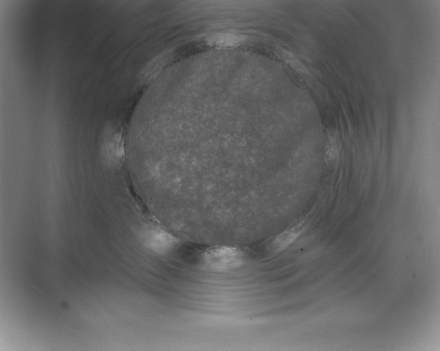 X0000071350431200607071729