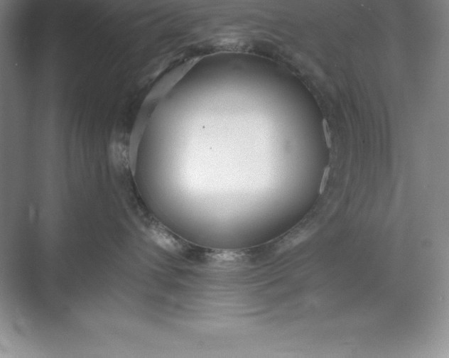 X0000071350432200607071729