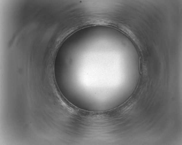 X0000071350433200607071728