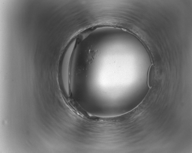 X0000071350434200607071728