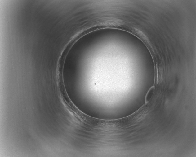 X0000071350435200607071728