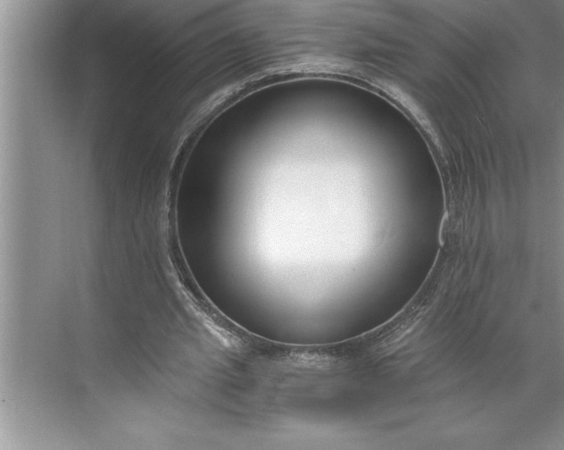 X0000071350437200607071728