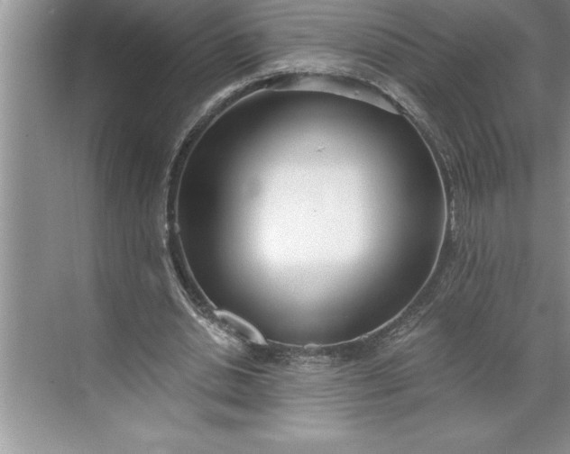 X0000071350438200607071728