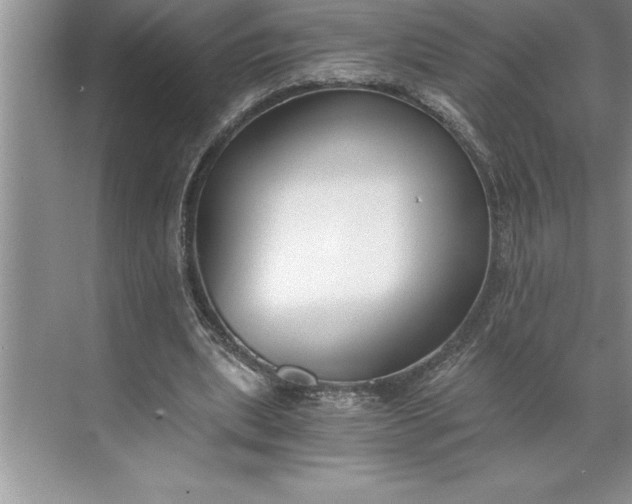 X0000071350439200607071728