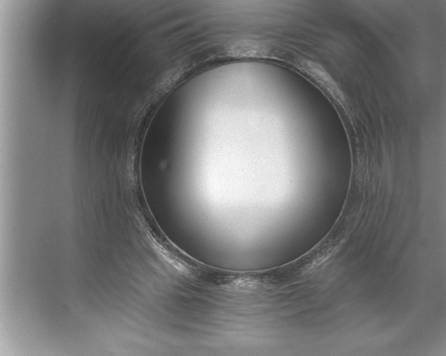 X0000071350441200607071728