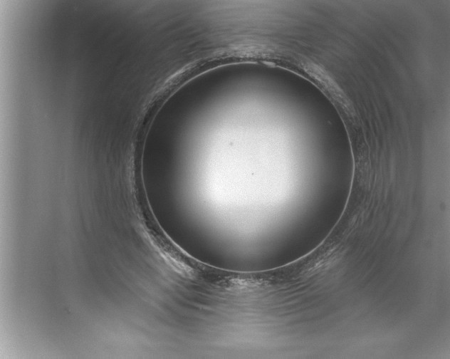 X0000071350442200607071728