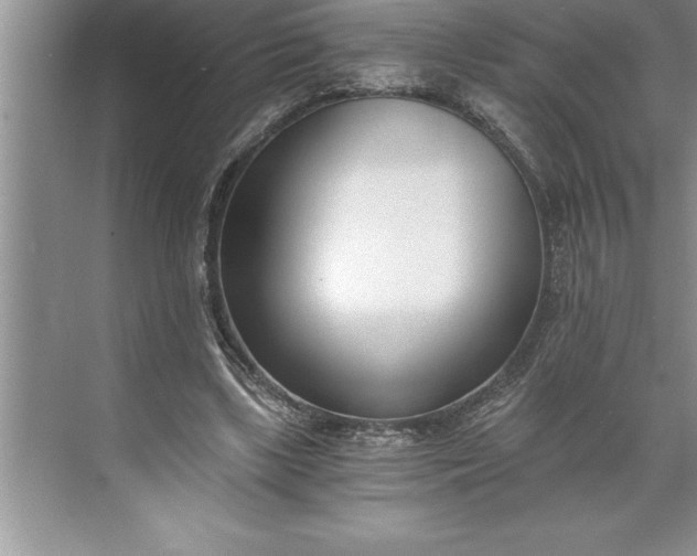 X0000071350443200607071728