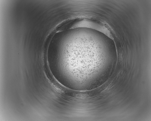 X0000071350444200607071728