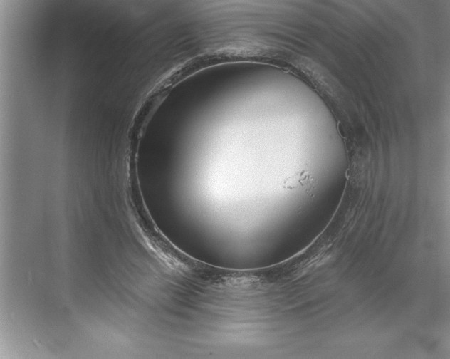 X0000071350446200607071728