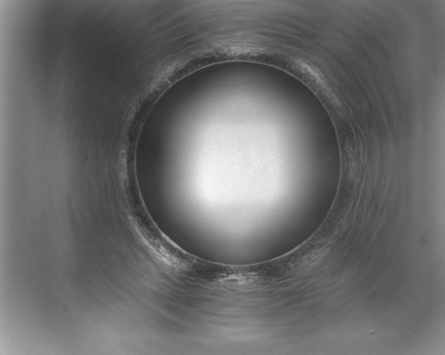 X0000071350447200607071728