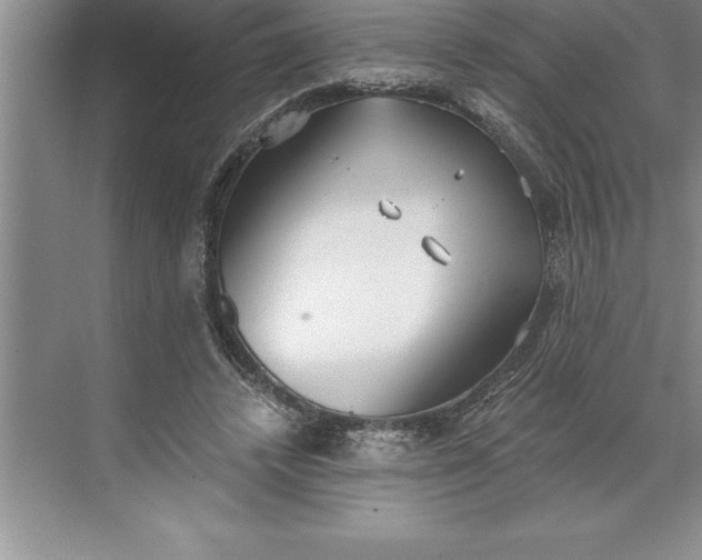 X0000071350448200607071728