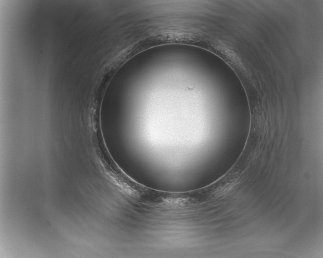 X0000071350450200607071728