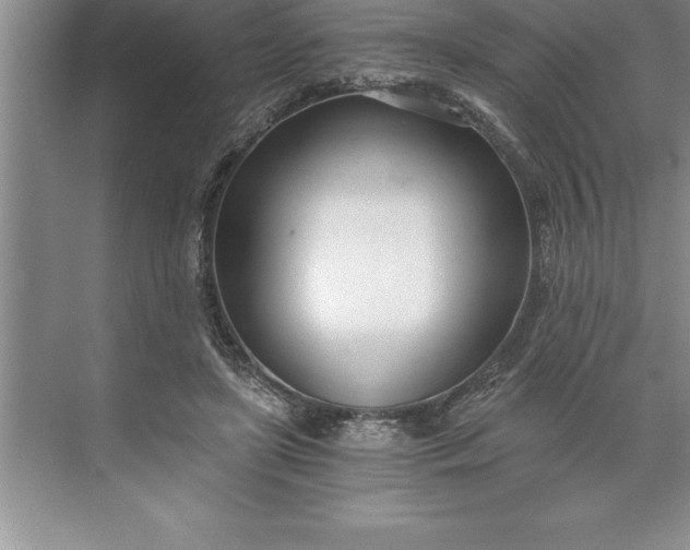 X0000071350451200607071728