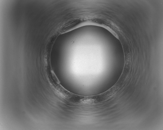 X0000071350452200607071728