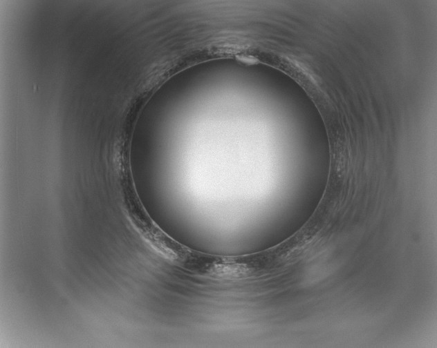 X0000071350455200607071728