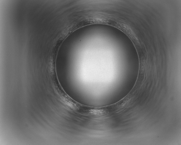 X0000071350457200607071728