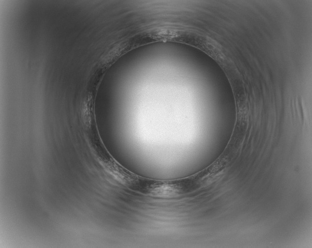 X0000071350460200607071728